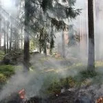 Incendio a Forchia (Bn): monitoraggio diossine e microinquinanti in corso
